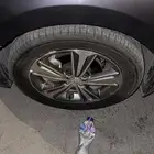 جنوط اكسنت