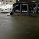 غطاء صندوق من طيور الحباري