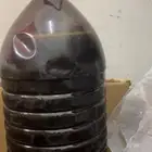 دبس التمر