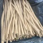 مساويك من وادي حلي بمحافظة القنفذه
