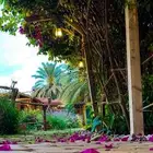 مطلوب ورشه للبيع في الصناعيه القديمه