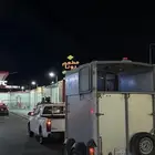 عربية نقل خيل نقل دخل الاحساء أو مناطق المملكة بسعر رمزي