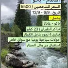 تذاكر طيران