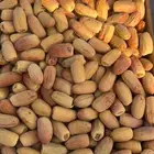 تمر لبانه طيبه