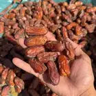 تنك صفري صافي الجعبة