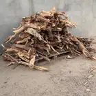 مستورد للبيع حطب