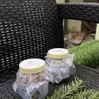 كولاجين طبيعي بعظم البقر مع إكليل الجبل العضوي