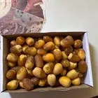صرام نخل الإخلاص الحساء