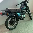 دباب صحراوي صيني