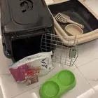 اغراض قطه