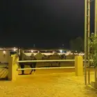 ايواء وعسف