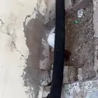 صدام باص هاس 2009جديد