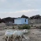 ضان دفيع شرط
