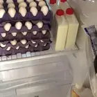 بيض بلدي