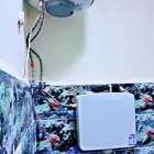 ديوانيه جديده