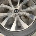 جنوط اكسنت وكالة