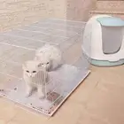 قطط