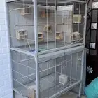 مطير لتربية اغلب الطيور