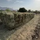 ملبن قصب ناعم