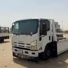 سطحه القنفده المظيلف