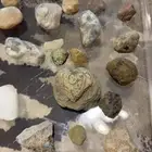 احجار كريمه