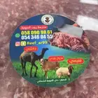 حاشي بلدي وعجول بلدي واغنام بلدي على الشرط والامانه