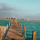 قارب الرايس للنزهه والسباحه والصيد ..