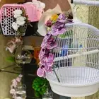 تنسيق هدايا - طيور الحب - شياله قطط - فازه مع سمك