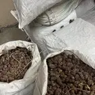 تمر حلال ممتاز جدا 8 اكياس