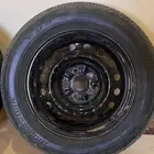 جنوط