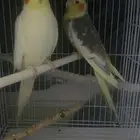 اللي بخاطري شي تواصل معه خاص
