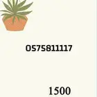رقم STC رباعي