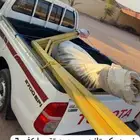 خيمه جملون للبيع شرط