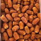 صقعي رطب احمر