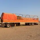 تيدر طول 13 ونص