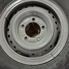 جنوط شنبر ربع