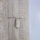 كنب وفيه له قواعد
