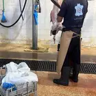 ذييحتك لباب بيتك