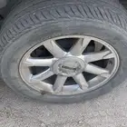 جنوط دينالي