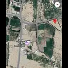 ارضي زراعية الريان