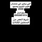 مطلوبب حصان ركوب