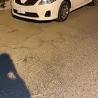 كورلا13