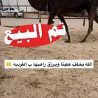 تم البيع الله يربحه ويخلف علينا