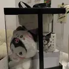 بوكس الشتاء