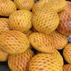 كليجا القصيم