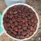 اللبيع كعيمر العيص رقم 1