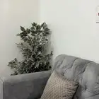 كنب للبيع .. سوم