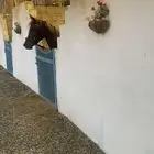 اغراض اسطبل خيل