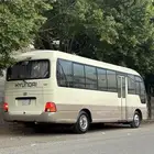 باص كونتي للبيع