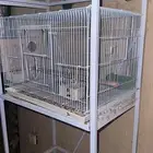 ستاند طيور 601